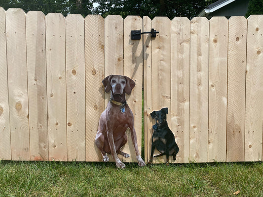 Poster-board Pet Cutout